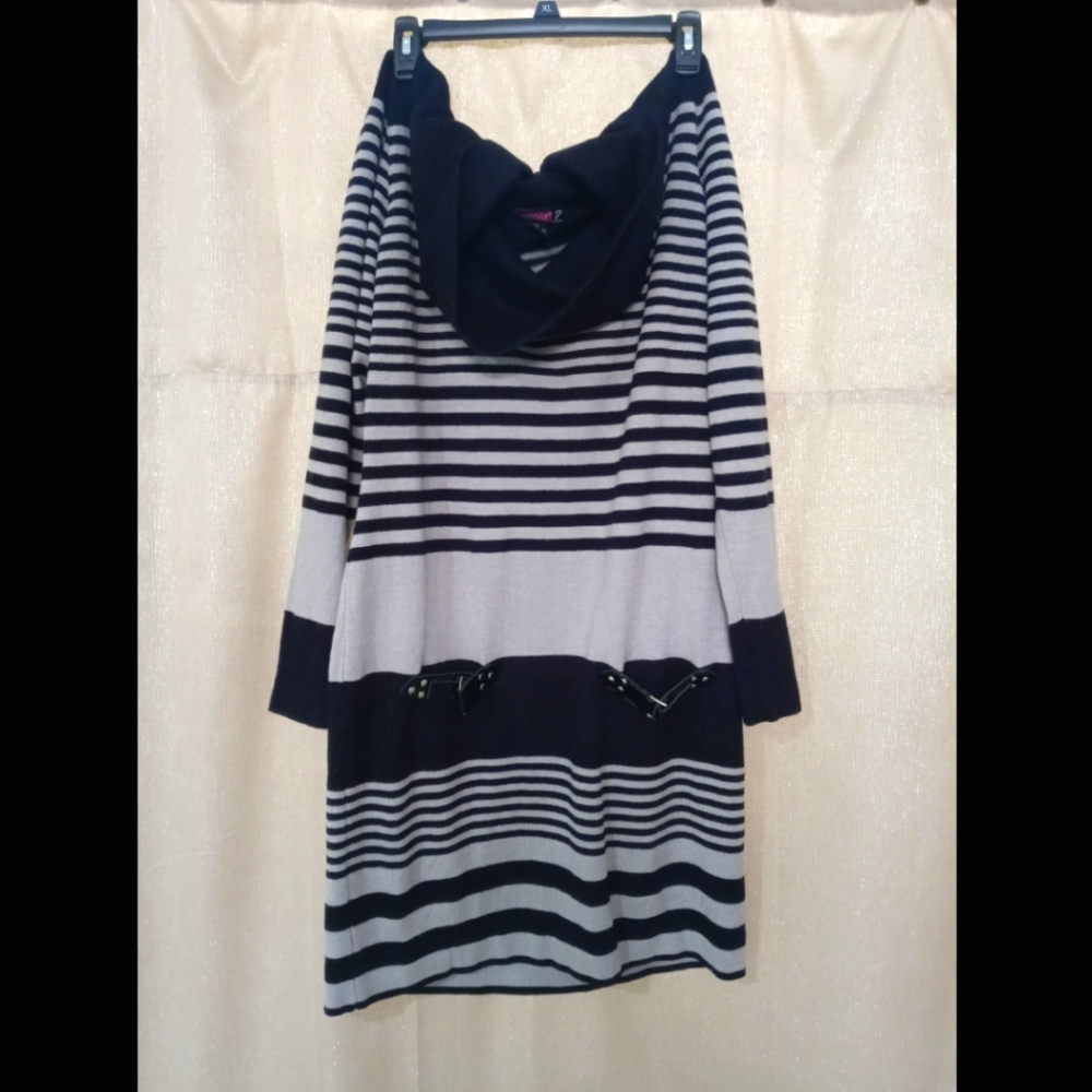 Black & Gray Cowl Neck Sweater Dress